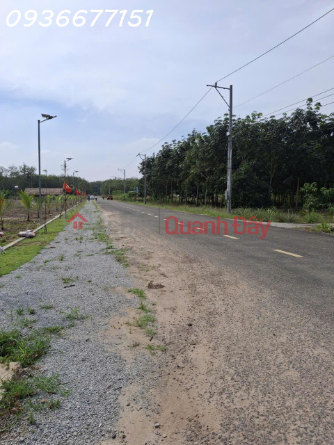 OWNER SELLING LAND PLOT AT A GOOD PRICE IN PHU GIAO – NEAR HO CHI MINH CITY _0