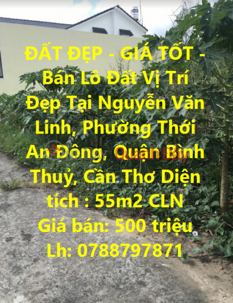 ĐẤT ĐẸP - GIÁ TỐT - Bán Lô Đất Vị Trí Đẹp Tại Quận Bình Thủy, Cần Thơ _0
