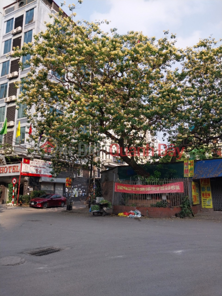 Property Search Vietnam | OneDay | Residential Sales Listings | Extremely URGENT - House for sale in My Dinh-Fivestar street, 71m, 6t, commercial space, sidewalk, business, bypass car, SHOCKING price