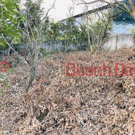 Selling a 645m2 plot of land (15m wide, 43m deep) located in Bo Pun Sub-district – Moc Chau – Son La. _0