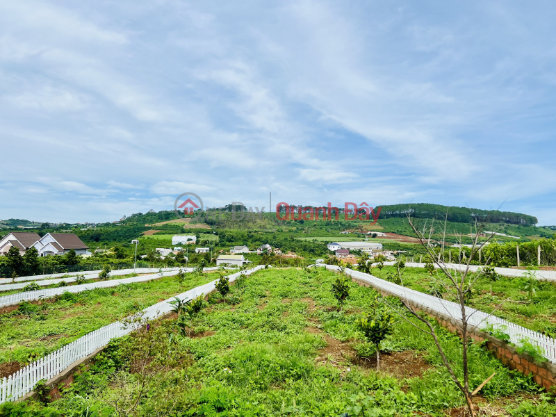 Property Search Vietnam | OneDay | Residential, Sales Listings | Liquidation of the last plot of land planned by Me Linh in Da Lat City is only 860 million