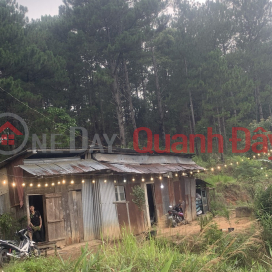 BEAUTIFUL LAND - GOOD PRICE - OWNER SELLING LOT OF LOT IN Da Lat City, Lam Dong Province _0