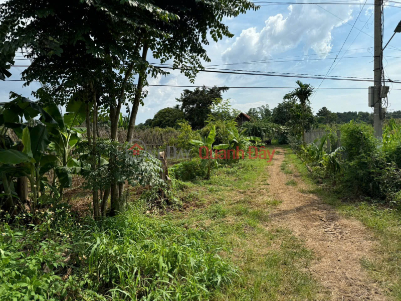 Property Search Vietnam | OneDay | Nhà ở | Niêm yết bán | ĐẤT ĐẸP – GIÁ ĐẦU TƯ – CHÍNH CHỦ CẦN BÁN LÔ ĐẤT VỊ TRÍ ĐẸP TẠI Khánh Xuân, Buôn Ma Thuột