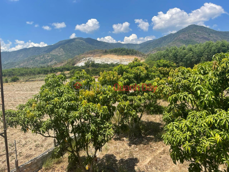 Property Search Vietnam | OneDay | Residential | Sales Listings, OWNER NEEDS MONEY TO SELL 2 LOT OF FULL LAND, FULL LAND, ATTRACTIVE PRICE 1.4 BILLION IN SUOI TIEN COMMUNE, DIEN KHANH