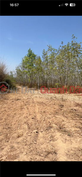 đ 2,5 tỷ | SỞ HỮU NGAY Lô Đất Huyện Ea Súp Đắk Lắk diện tích 30000 m² giá 2,5 tỷ