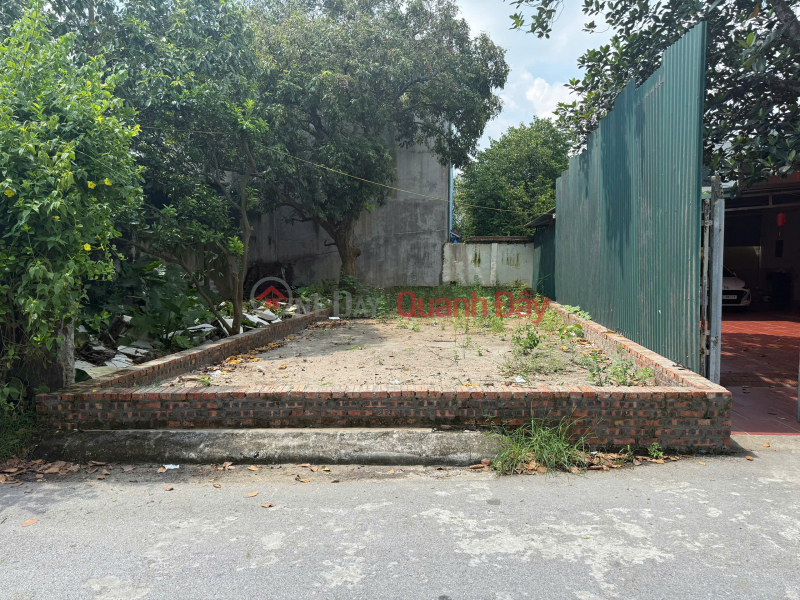 Property Search Vietnam | OneDay | Residential | Sales Listings | Land for sale in Co Duong, Tien Duong - Car access - Main road - Beautiful plot