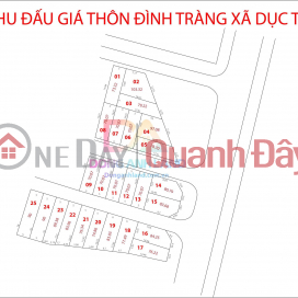 Dong Anh auction land for 2.3 billion 70m2 _0