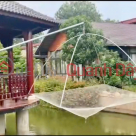Cho thuê hoặc bán biệt thự nhà vườn mặt tiền đường Long Thuận _0