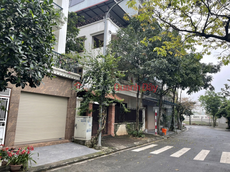 GIANG BIEN RESETTLEMENT LAND, PHU LOI STREET, BEAUTIFUL LOCATION, BUSINESS BUSINESS Sales Listings