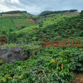 Owner Needs to Sell Lot of Land with Beautiful Location in Phi To Commune, Lam Ha, Lam Dong _0