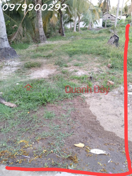 OWNER FOR URGENT SALE OF LAND LOT IN BEAUTIFUL LOCATION In Tra Vinh City, Tra Vinh Province Sales Listings