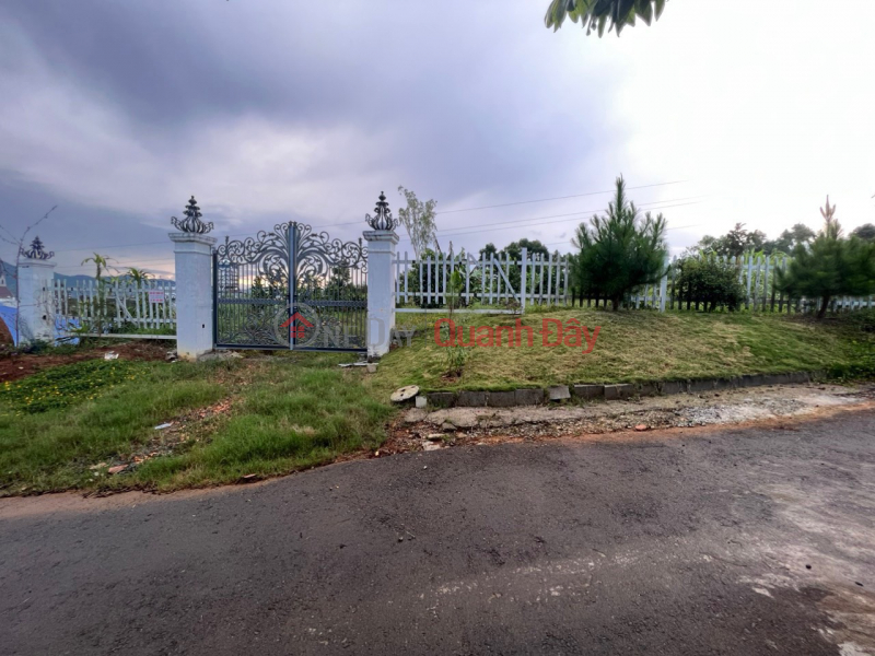 The owner urgently sells the plot of land in a beautiful location, Loc Chau Commune, City. Bao Loc, Lam Dong province. Sales Listings