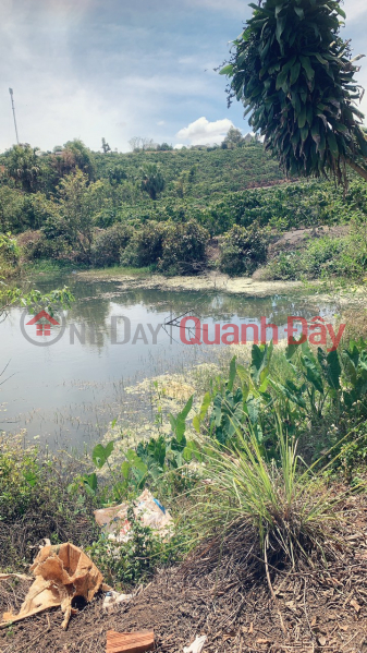 BEAUTIFUL LAND - GOOD PRICE - Land Lot For Sale Prime Location In Hamlet 1, Dinh Lac Commune, Di Linh District, Lam Dong, Vietnam | Sales đ 2.3 Billion