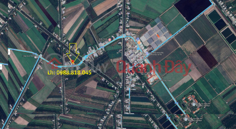 Phát mại Nhà tỉnh Lộ 908 ấp Tân Mỹ, xã Tân Thành, huyện Bình Tân, Vĩnh Long, 1947m2, Mt 53m, mTG _0