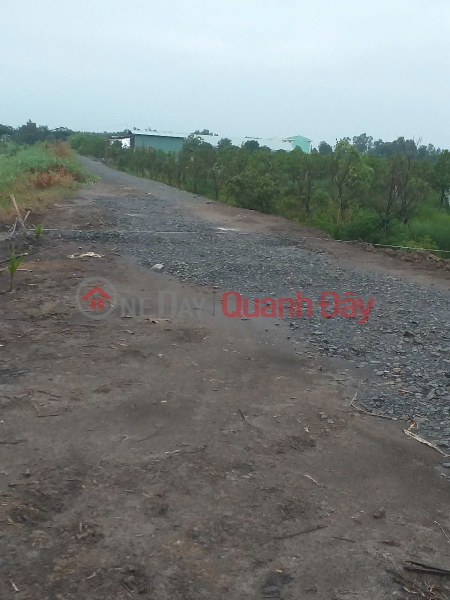 Property Search Vietnam | OneDay | Residential | Sales Listings, Owner Sells Prefabricated House And 1300m2 Of Land In Thuan Binh Commune, Thanh Hoa, Long An