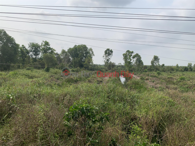 Property Search Vietnam | OneDay | Residential Sales Listings, HOT!!! FOR QUICK SALE Land Plot In Phuoc Lap Commune - Tan Phuoc - Tien Giang