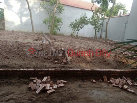 OWNER Urgently Needs To Sell 3 Front Lots Of Land, Beautiful Location In Yen Lac-Vinh Phuc _0