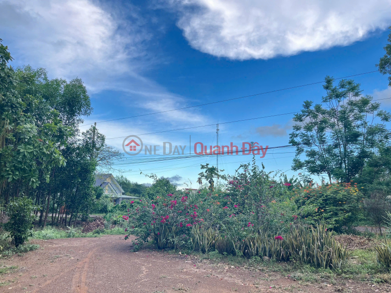 Property Search Vietnam | OneDay | Residential, Sales Listings, Owner selling 20,000m2 of land in Bau Lam Commune, Xuyen Moc District, Ba Ria Vung Tau Province.