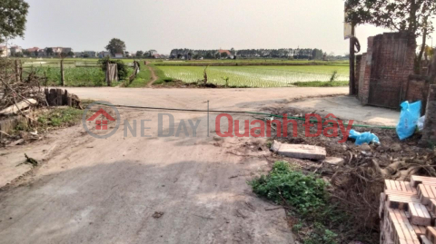 BEAUTIFUL LAND - GOOD PRICE Owner Needs To Quickly Sell Land Plot In Lai Ha Commune, Luong Tai, Bac Ninh _0