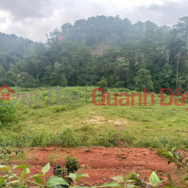 OWNER NEEDS TO SELL LAND URGENTLY IN Lat Commune - Lac Duong District - Lam Dong Province _0