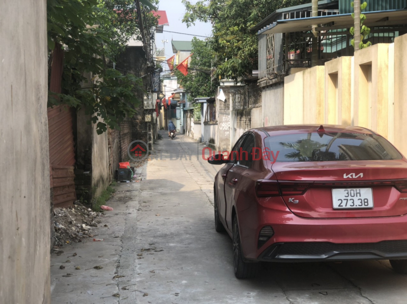 Insolvent, need to urgently sell plot of land 47.1m2, Cho Sa village, Co Loa, Dong Anh, Hanoi, morning bus route, price only a few billion | Vietnam, Sales, đ 1.5 Billion