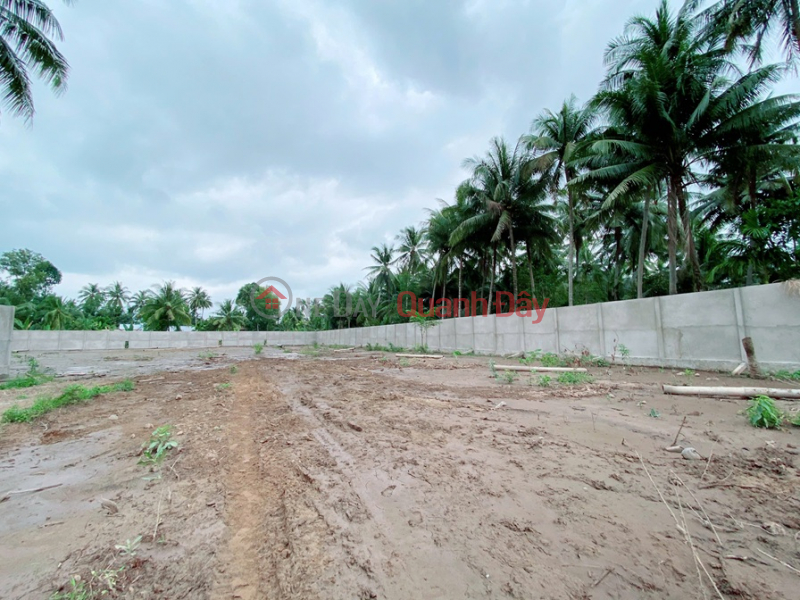 đ 15.5 Billion, PRIME LAND – GREAT PRICE – OWNER NEEDS TO SELL URGENTLY Located in Thanh Tan Commune, Mo Cay Bac District (now Ben Tre Ward),Ben Tre City