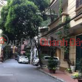 Bán Nhà ngõ 59 phố Láng Hạ DT: 131m2, Nhà xây 5 tầng giá 47,8 tỷ _0