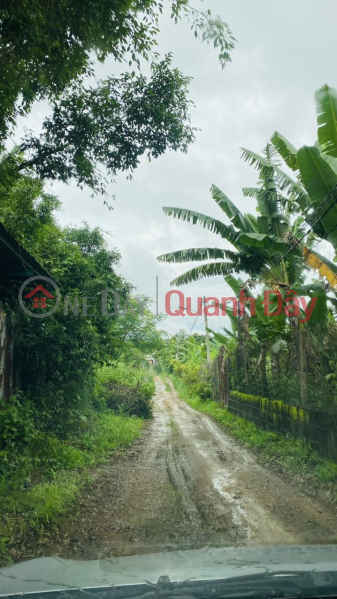 OWNER NEEDS TO SELL LAND LOT QUICKLY IN Thanh Nhat Ward - Buon Ma Thuot City - Dak Lak Sales Listings