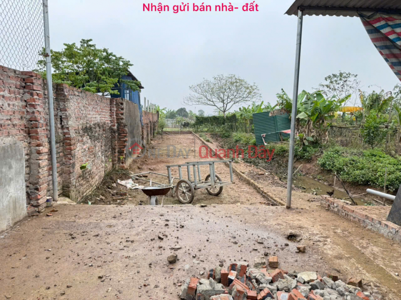 Residential land for sale in Coc Thuong village, Hoang Dieu commune, Chuong My, Hanoi - beautiful location, reasonable price Vietnam, Sales | đ 1.95 Billion