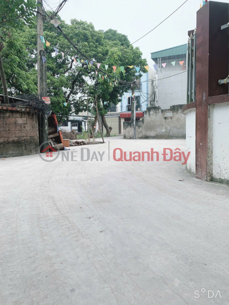 Investment in building a townhouse, area: 66.5 m2, Phuong Nghia, Phung Chau, price only over 30 million Vietnam Sales, đ 2.4 Billion