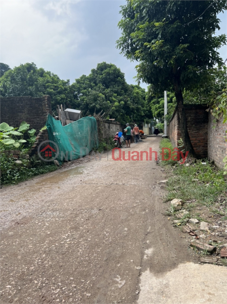 Property Search Vietnam | OneDay | Nhà ở Niêm yết bán, bán 81m đất Thị trấn chúc sơn - gần bệnh viện huyện chính chủ