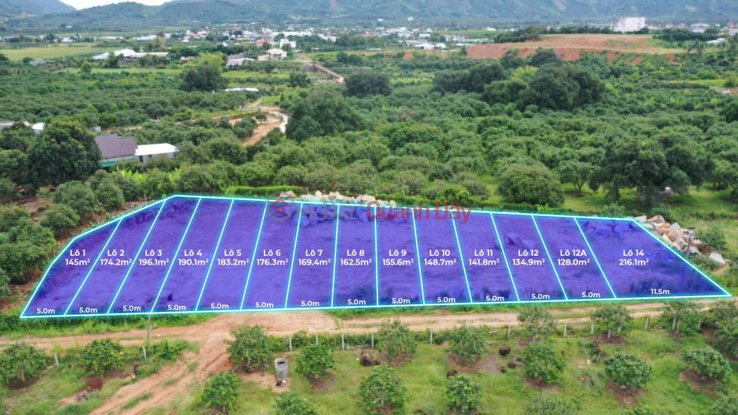 Đất nền Cam Lâm Khánh Hòa – 128m² full thổ cư, gần Quốc lộ 1A, pháp lý chuẩn Niêm yết bán