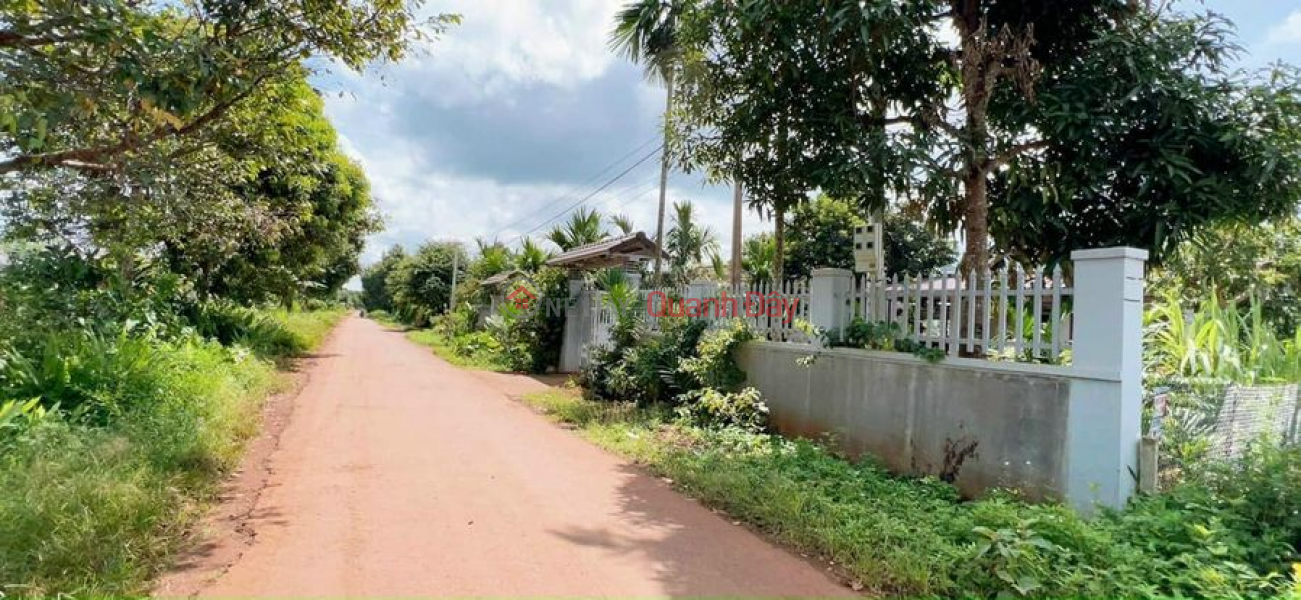 Property Search Vietnam | OneDay | Sales Listings | LAND FOR SALE 171 NGUYEN THAI BINH - HOANG THANG