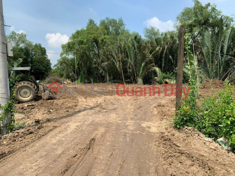 BEAUTIFUL LAND - GOOD PRICE - Land for sale in Can Duoc (near Canal Nuoc Man bridge) _0