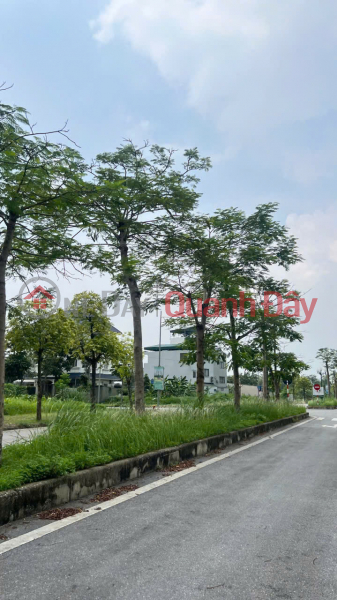 Property Search Vietnam | OneDay | Nhà ở Niêm yết bán | Đất Tiên tân Lão cầu dt 245m2