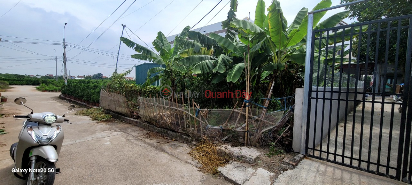 Property Search Vietnam | OneDay | Nhà ở Niêm yết bán, Bán đất LÔ Góc diện tích Gần 90m mặt tiền 4.5m gàn vành đai 4 giá đầu tư