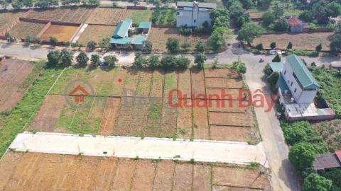 OWNER'S LAND - Beautiful Location Vai Reo Resettlement Area, Phu Cat, Quoc Oai _0