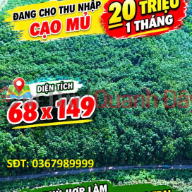 PRIME LAND – GREAT PRICE - URGENT SALE OF A PAIR OF ADJACENT LAND PLOTS NEXT TO THE EXPANDED BAU BANG INDUSTRIAL PARK, Bau Bang, Binh Duong _0