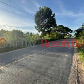 Bán ĐẤT CHÍNH CHỦ Đường Lộ 785C Xã Tân Hà, Huyện Tân Châu, Tây Ninh _0