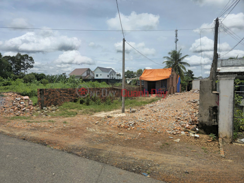 Property Search Vietnam | OneDay | Residential | Sales Listings | Beautiful Square Frontage Land, 250m2 - Pham Ngoc Thach TN