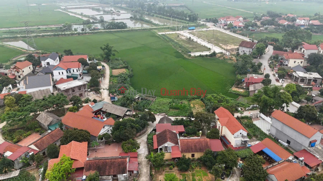 Property Search Vietnam | OneDay | Nhà ở, Niêm yết bán | Đất Đẹp - Giá Tốt - Đầu Tư Sinh Lời Ngay Tại Thọ Văn, Tam Nông, Phú Thọ - Vị trí đắc địa