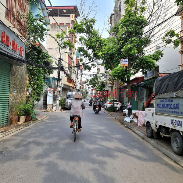Land for sale on rough business street 299.9m2 Trau Quy, Gia Lam, Hanoi., Vietnam, Sales đ 29.88 Billion