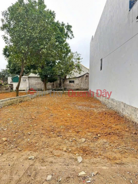 Chính chủ cần bán 160m2 đất thổ cư đẹp tại Phú Cát - Vị trí thuận lợi - Đầu tư sinh lời tốt _0