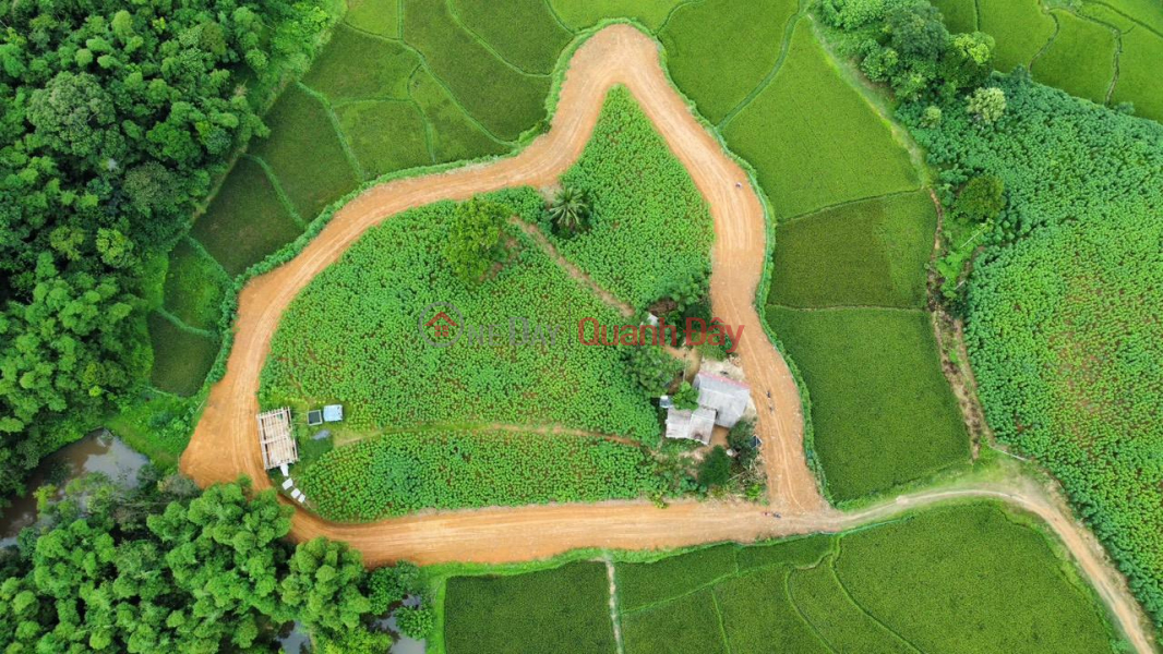 Property Search Vietnam | OneDay | Nhà ở | Niêm yết bán, Cần Bán Nhanh Lô Đất Vị Trí Đẹp Tại Huyện Ngọc Lặc, Tỉnh Thanh Hóa.