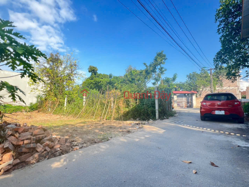 Property Search Vietnam | OneDay | Residential, Sales Listings, 88m² Behind Xuan Hoa Ward Police Station<br \\/> Investment price starting from only 1.6xx billion VND – Accessible by car.