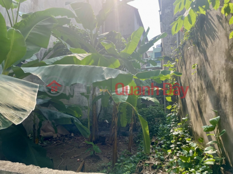 Bán đất ngõ 193 Bồ Đề 89m x 6m6 1 nhà ra oto thông, giá đầu tư. _0