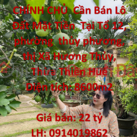 CHÍNH CHỦ Cần Bán Lô Đất Mặt Tiền Tại phường thủy phương, thị Xã Hương Thủy, Thừa Thiên Huế _0