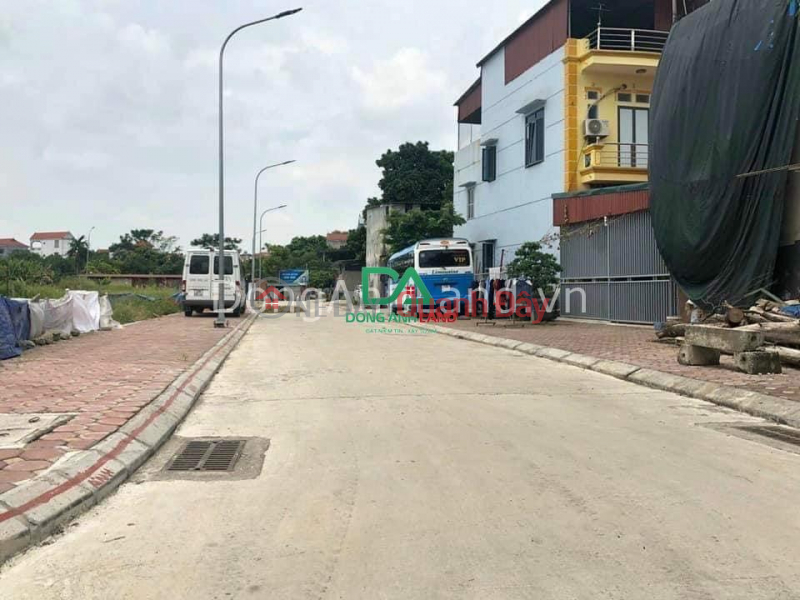 Land for sale at Viet Hung Dong Anh auction, corner lot 104m, cut-loss price Sales Listings