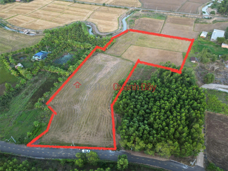 OWNER - LARGE LAND FOR SALE NEAR THE SEA, INDUSTRIAL PARK Lang Dai Commune, Long Dat District, Ba Ria - Vung Tau. Sales Listings