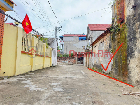 Land for sale in Bach Da village, Kim Hoa, Me Linh. Road is clear, cars can enter the land. Near Kim Hoa urban area. _0